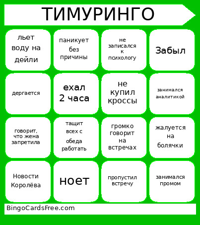 ТИМУРИНГО Bingo Card