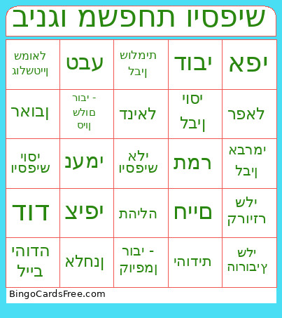 בינגו משפחת ויספיש Bingo Card