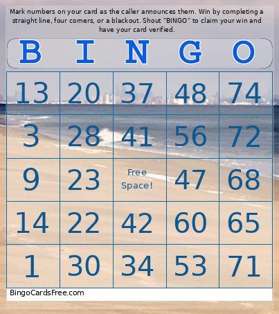 1-75 Number Sandy Hook Beach + Audio Bingo Card