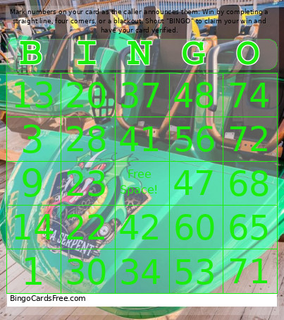 1-75 Number Sea Serpent + Audio Bingo Card
