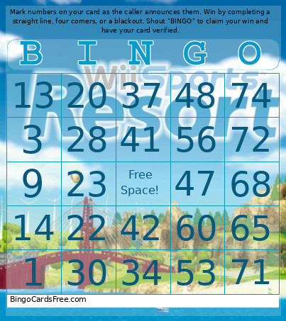 1-75 Number Wii Sports Resort + Audio Bingo Card