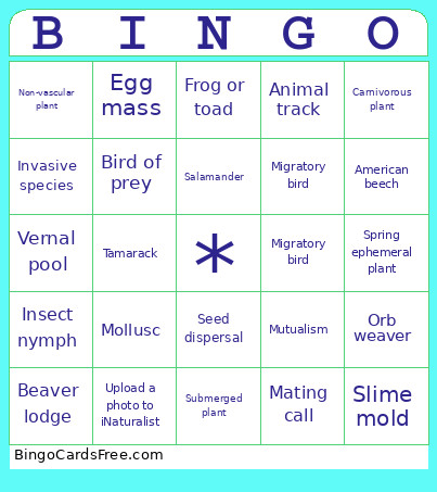 121 Spring Bingo Card