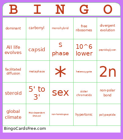 141 Bingo Card