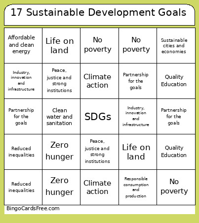 17 Sustainable Development Goals Bingo Card