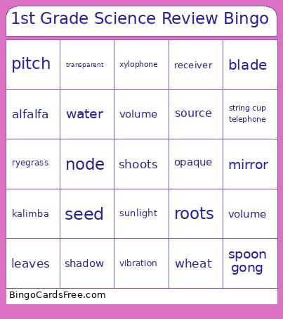 1st Grade Science Review Bingo Card