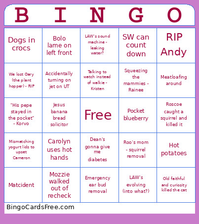 2025 Bingo Card