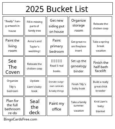 2025 bucket list Bingo