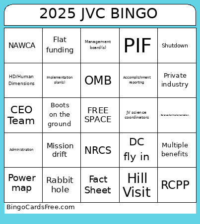 2025 JVC Bingo Card