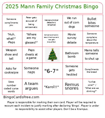 2025 Mann Family Christmas Bingo Card