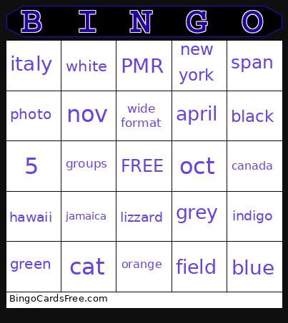 2025 Summer OPS Bingo Card
