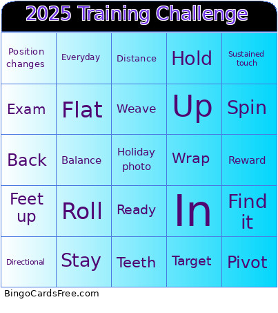 2025 Training Challenge Bingo Card