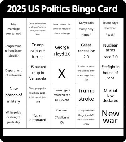 2025 US Politics Bingo Card