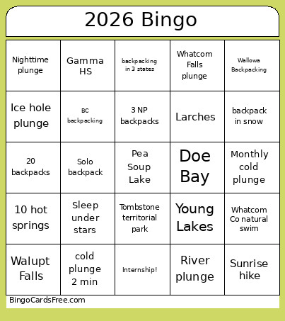 2026 Bingo Card