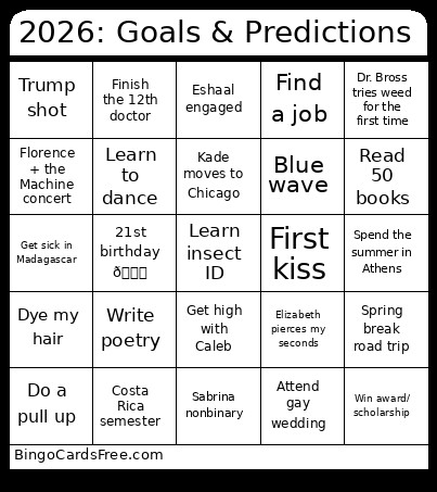 2026: Goals & Predictions Bingo Card