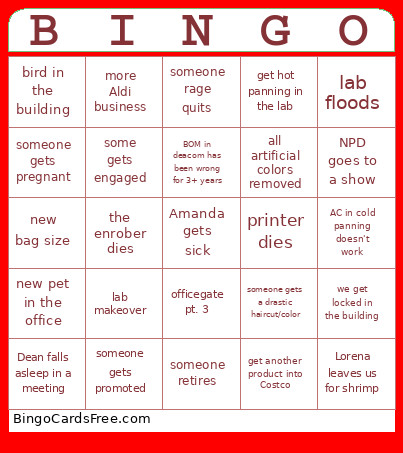 2026 NPD Bingo Card
