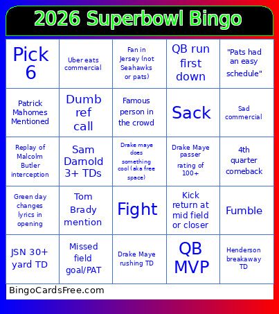 2026 Superbowl Bingo Card