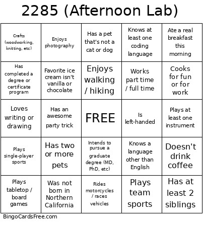 2285 (Afternoon Lab) Bingo Card