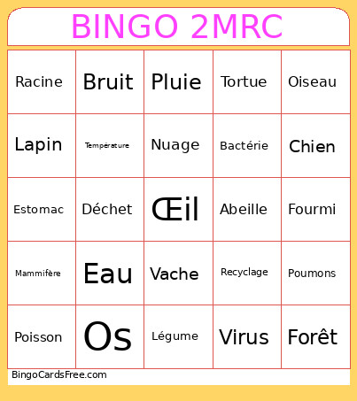 2MRC Bingo Card