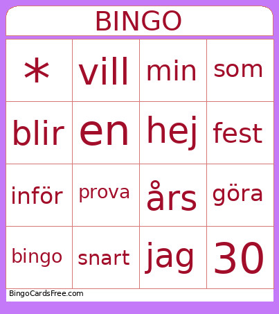 30årsfest Bingo Card