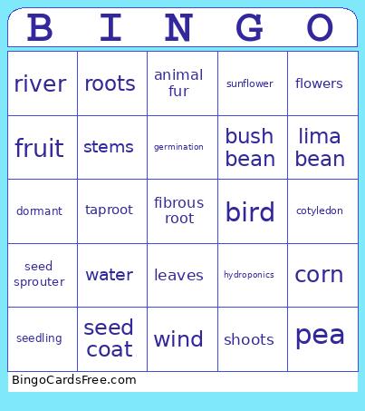 3rd Grade - Structures of Life  Bingo