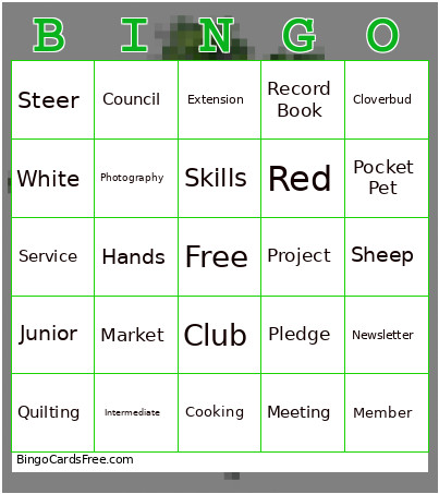 4-h Bingo Card