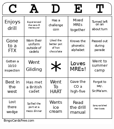 538 Buffalo Bingo Card 2