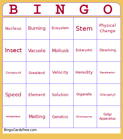 6th Grade Bingo Card