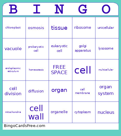 7th Grade Science Vocabulary Review Bingo Card