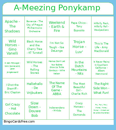 A-Meezing Ponykamp Bingo Card