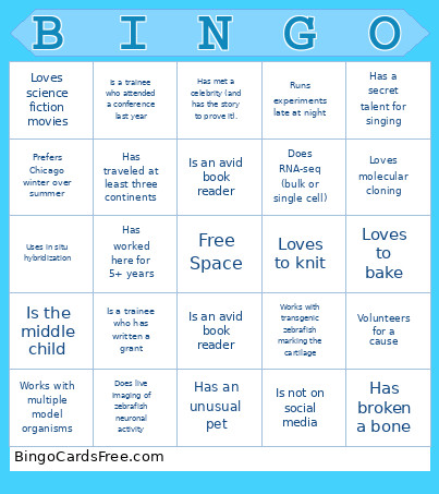 Academic Coworker Bingo Card