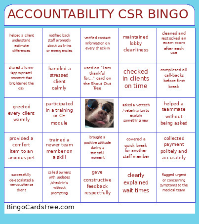 Accountability CSR Bingo Card