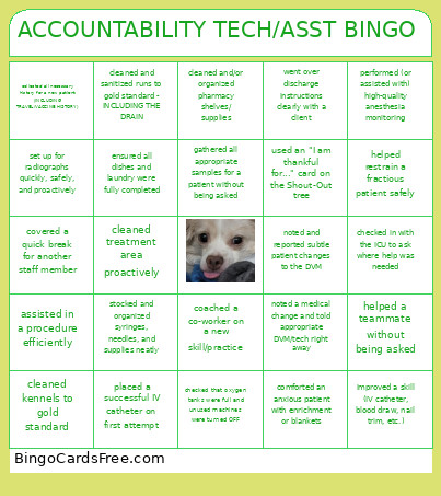 ACCOUNTABILITY TECH/ASST Bingo Card