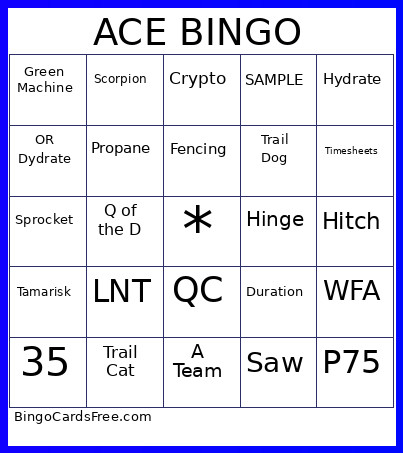 ACE Olympics Bingo Card