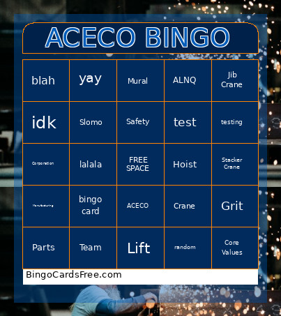 ACECO Bingo Card