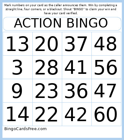 ACTION Bingo Card