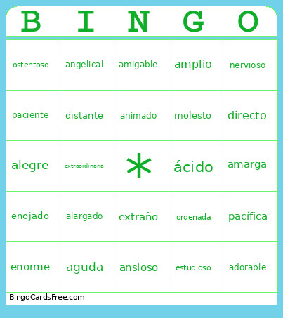 Adjetivos Calificativos Bingo Card