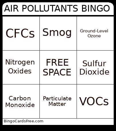 AIR POLLUTANTS Bingo Card