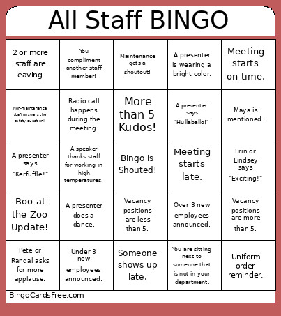 All Staff Bingo Card