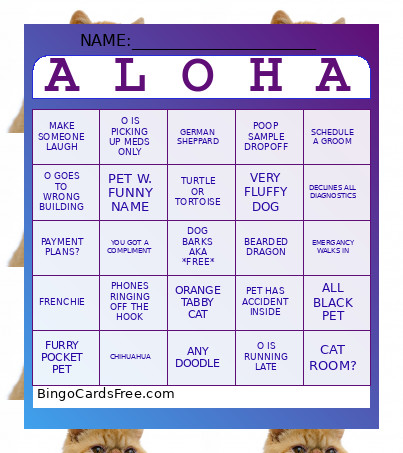 ALOHA Bingo Card