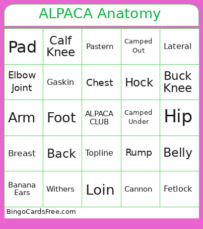 ALPACA Anatomy Bingo Card