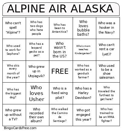 ALPINE AIR ALASKA Bingo Card