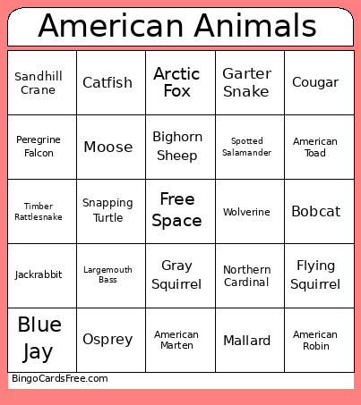 American Animals Bingo Card