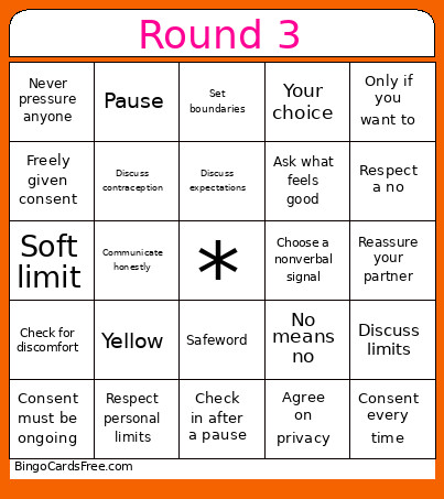 AMLMN-MSU Sex Toy Bingo Card