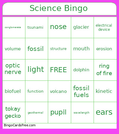 Amplify Bingo Card