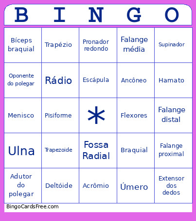 Anatomia Bingo Card