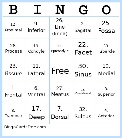 Anatomy Bingo Card