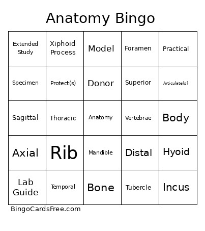Anatomy Bingo Card