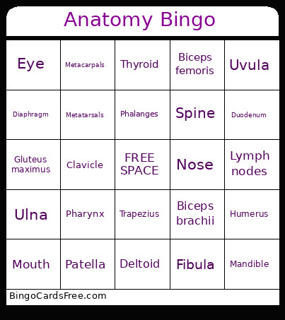 Anatomy Bingo Card