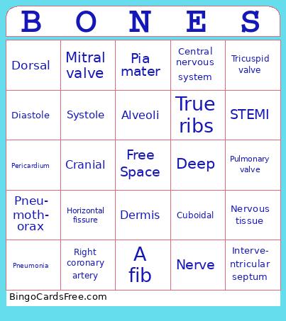 Anatomy Camp day 1 Bingo