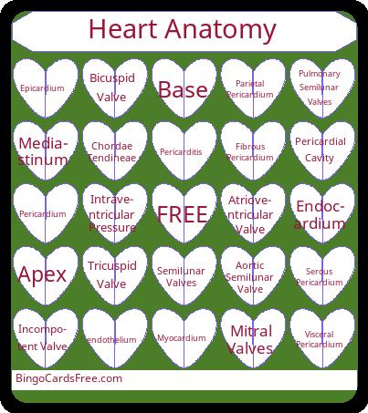 Anatomy of the Heart Bingo